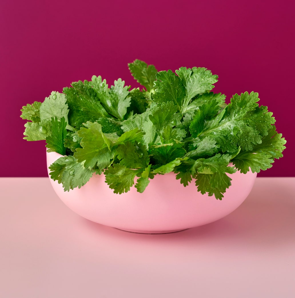 a bowl of coriander