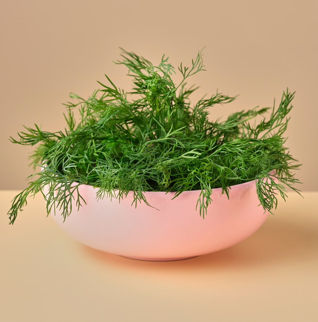 a bowl of dill