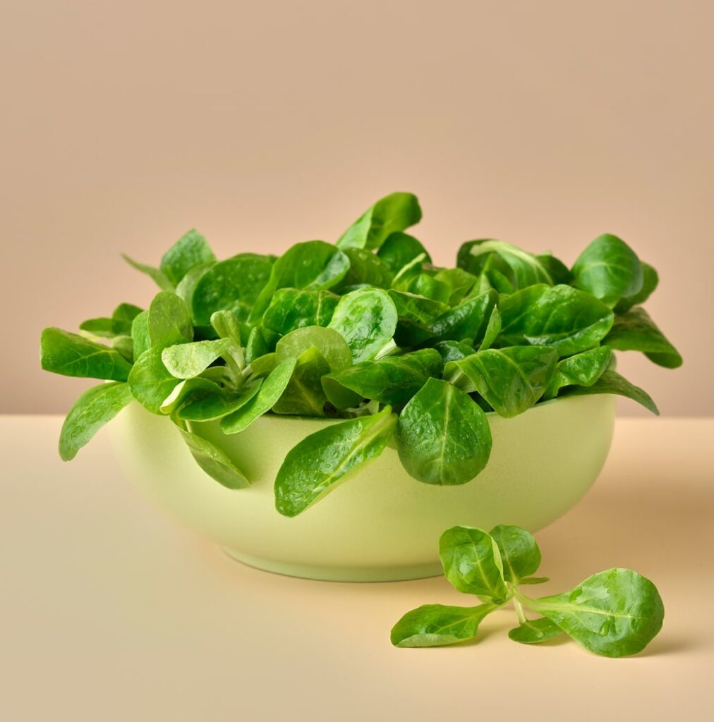 a bowl of lambs lettuce