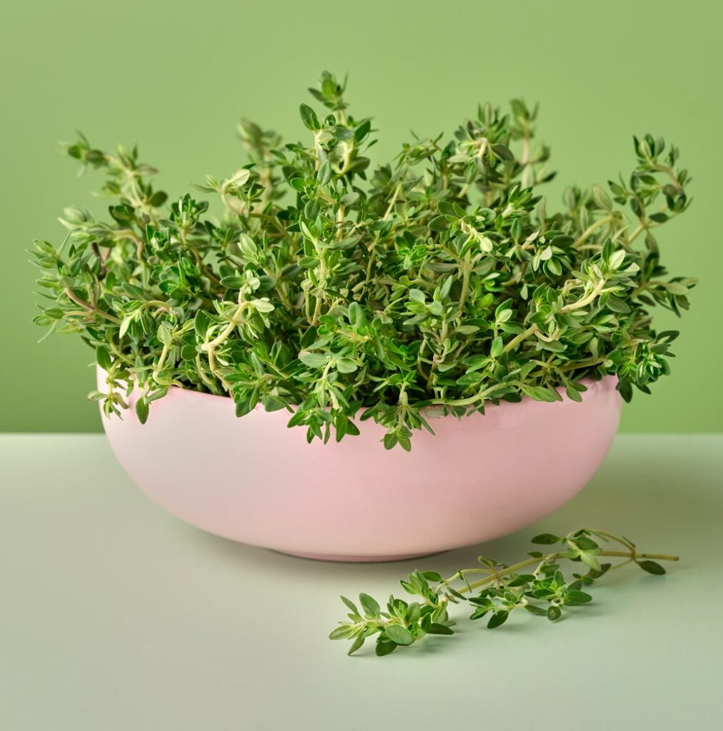 a bowl of lemon thyme