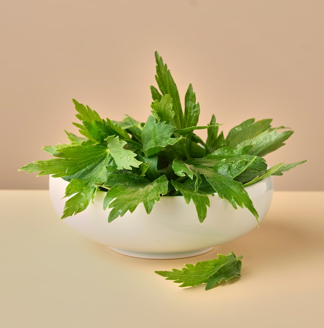 a bowl of lovage