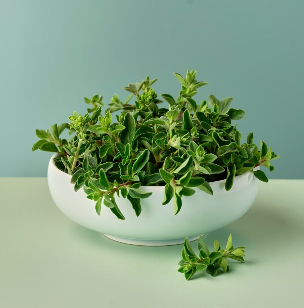 a bowl of marjoram