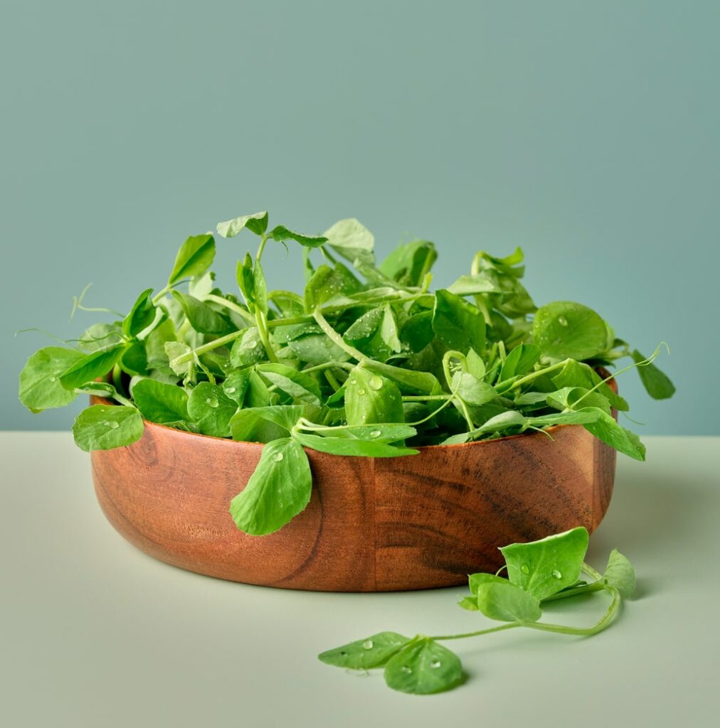 a bowl of pea shoots