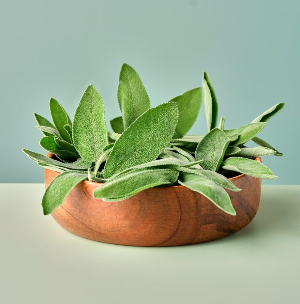 a bowl of sage