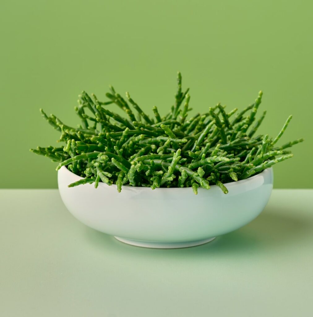 a bowl of samphire