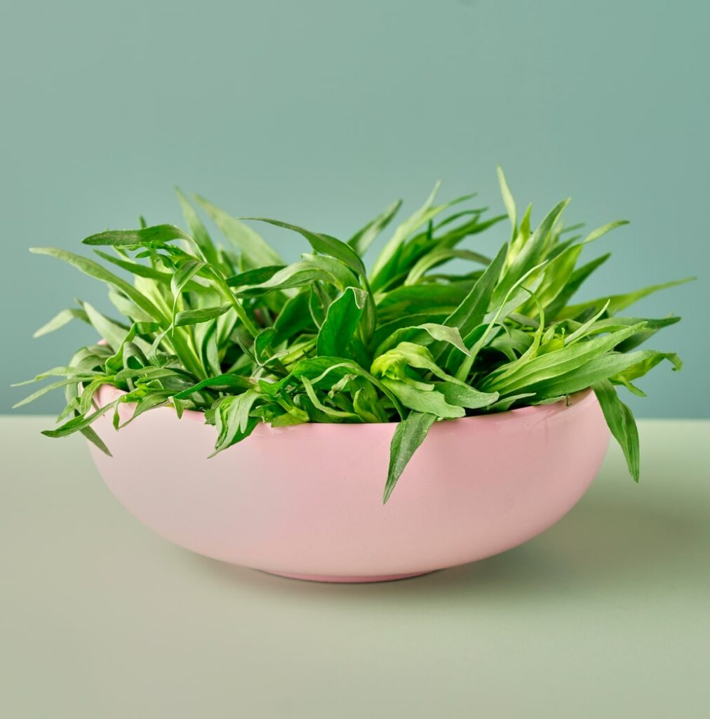 a bowl of tarragon