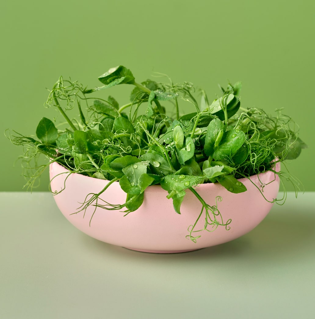 a bowl of tendril pea shoots