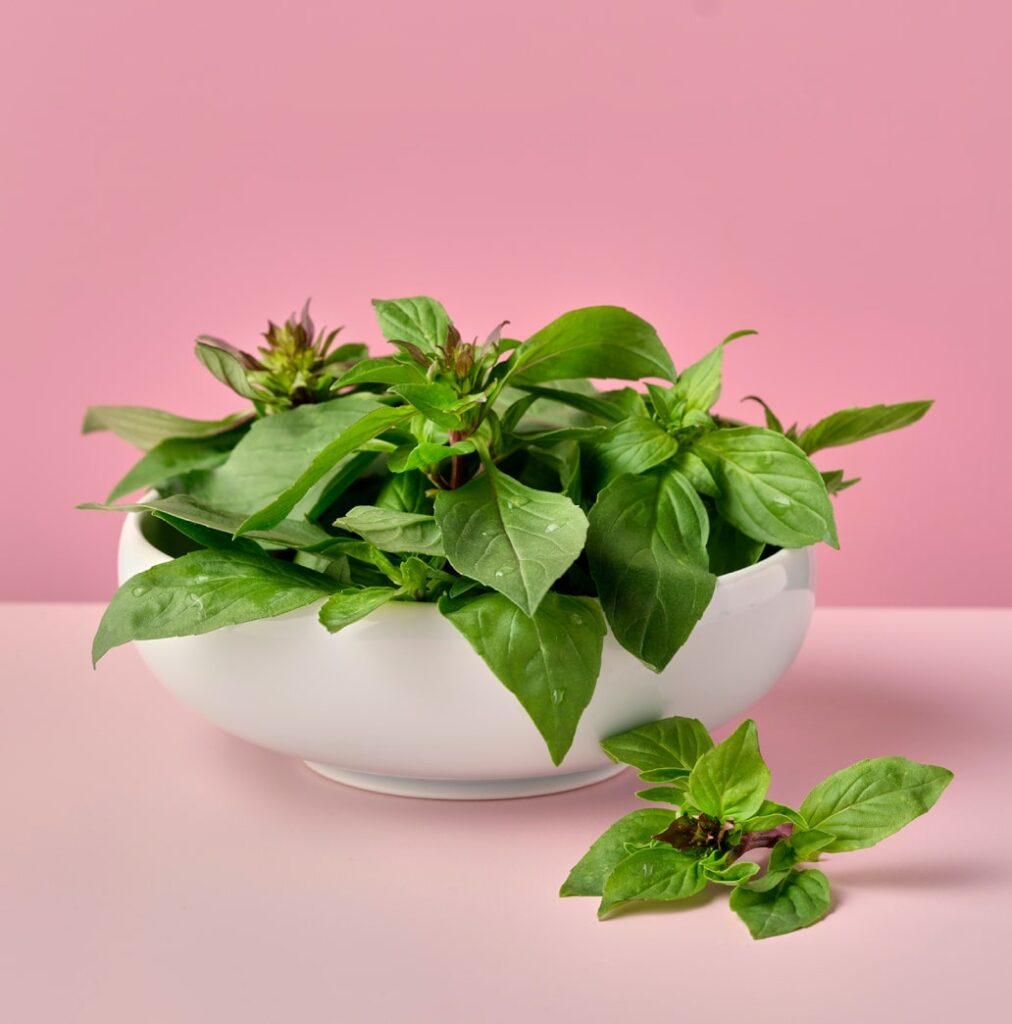 a bowl of thai basil