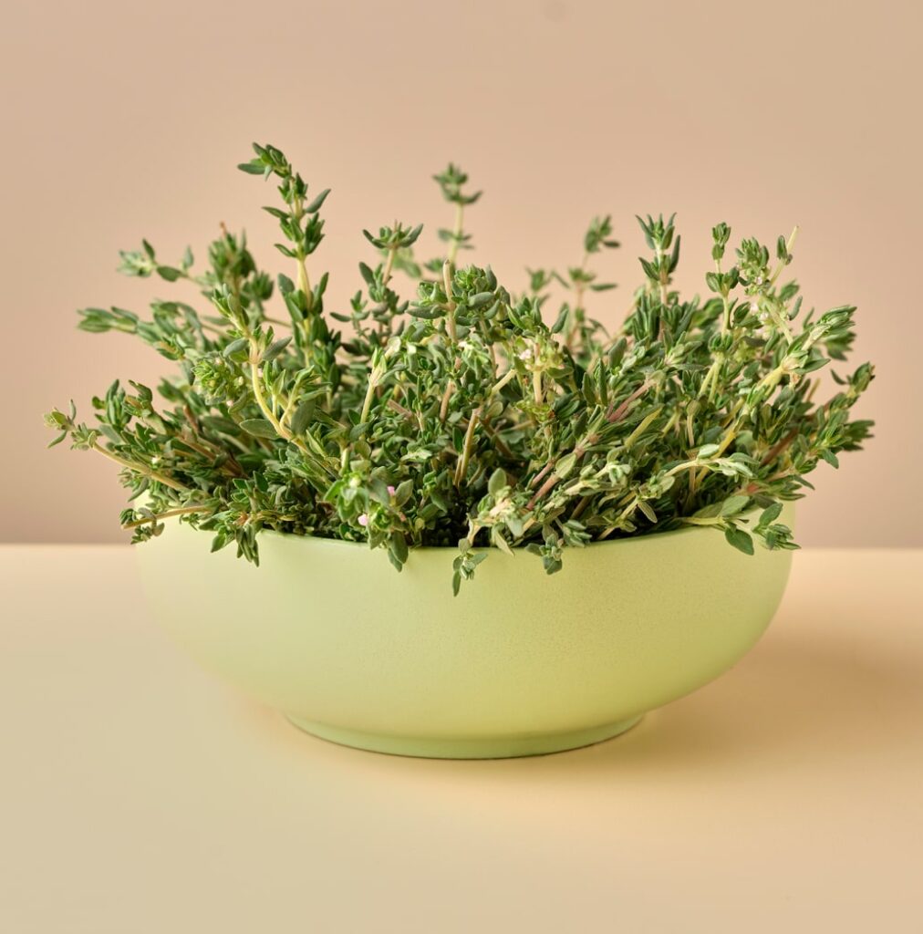 a bowl of thyme