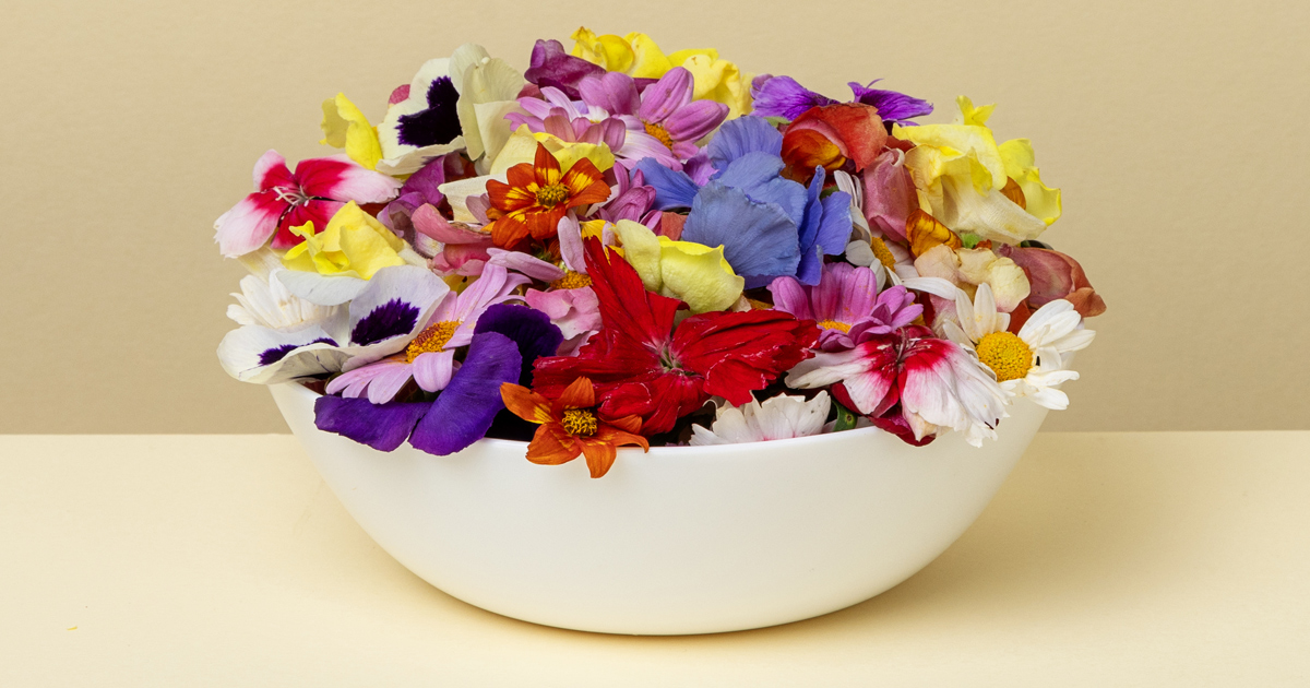Fresh Additions To Our Range: Edible Flowers and Micro Leaves ...