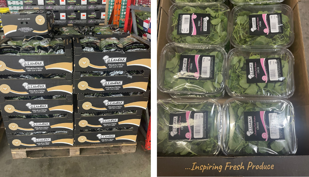 Fresh Food Company